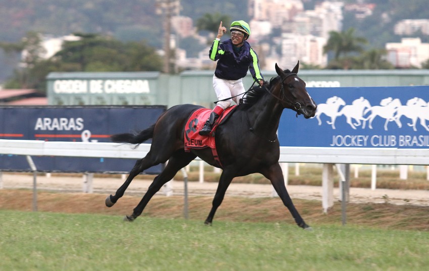 GP Latino-Americano ser disputado neste sbado, no hipdromo da Gvea